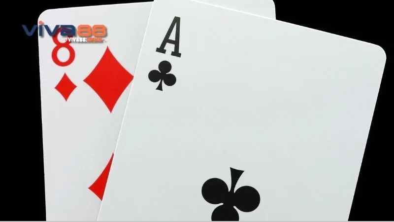 meo-choi-xi-to-la-gi-meo-choi