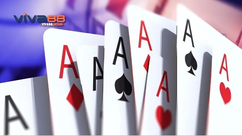 meo-choi-xi-to-la-gi