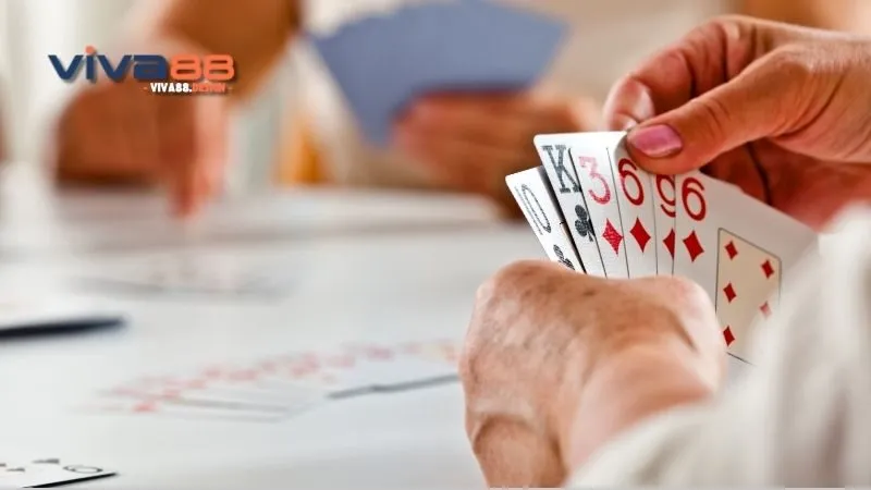 meo-choi-xi-to-la-gi-choi-xi-to